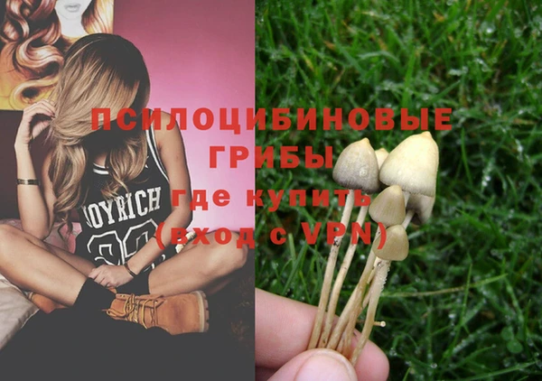 соль курить ск Алзамай