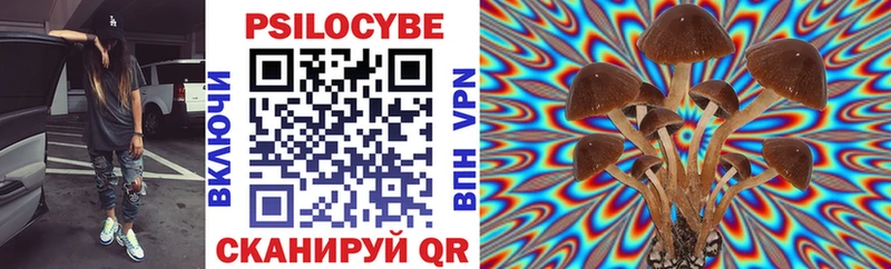 Псилоцибиновые грибы Psilocybine cubensis Дыгулыбгей